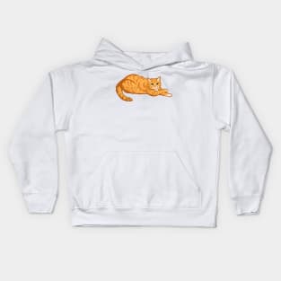 Orange Tabby Harambe Kids Hoodie